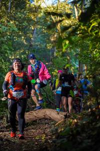 BIB: 2504
                            <button type="button" onclick="openModal(19242922)" class="btn btn-primary btn-sm float-right btn-popup" data-toggle="modal" data-target=".modal-high-quality">
                        <i class="fas fa-shopping-cart"></i> Add to Cart
                    </button>
                                            <button type="button" onclick="isThisMe(19242922, true)" class="btn btn-success btn-sm float-right btn-popup btn-isme hidden" data-toggle="tooltip" data-placement="bottom" title="นี่คือรูปของคุณใช่ไหม คลิกที่นี่เพื่อเอาเข้าอัลบั้ม">
                        <i class="fas fa-plus"></i> Add to album
                    </button>
                    <button type="button" onclick="isThisMe(19242922, false)" class="btn btn-warning btn-sm float-right btn-popup btn-isnotme hidden">
                        <i class="fas fa-ban"></i> Remove from album
                    </button>